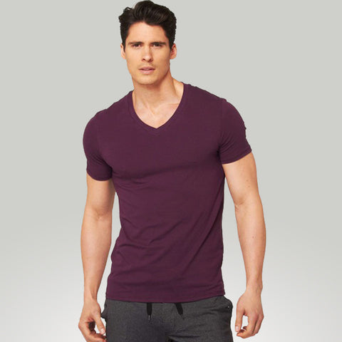 Cory Vines Men's The Neighborhood V-neck Plum